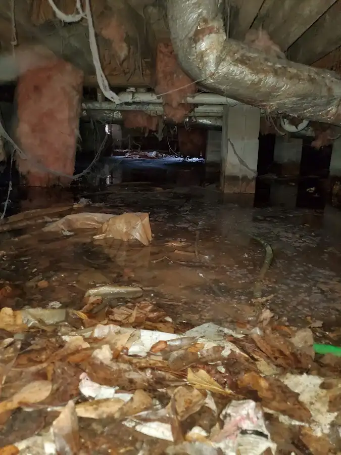 Crawl space flood assessment for Commercial Water Damage Restoration in Vernon