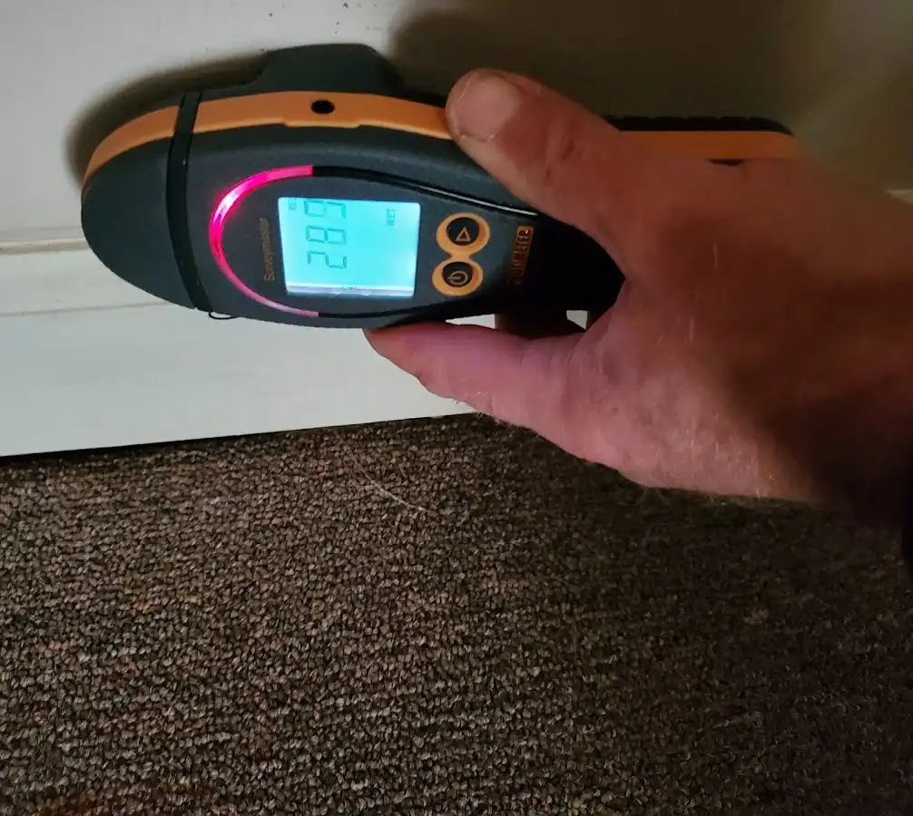 Moisture detection at baseboard during Burst Pipe Cleanup in Vernon