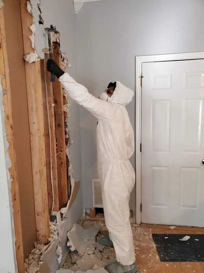 Water Damage Assessment in Vernon, NJ